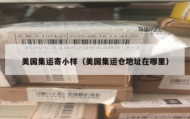 美国集运寄小样（美国集运仓地址在哪里）