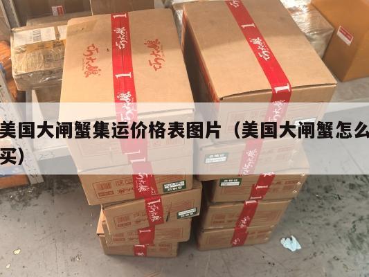 美国大闸蟹集运价格表图片（美国大闸蟹怎么买）
