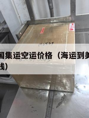 海运到美国集运空运价格（海运到美国一个集装箱多少钱）