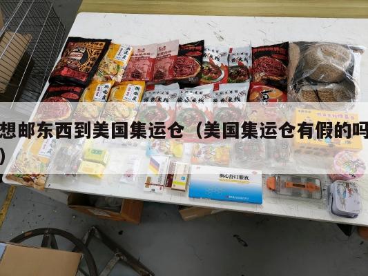 想邮东西到美国集运仓（美国集运仓有假的吗）