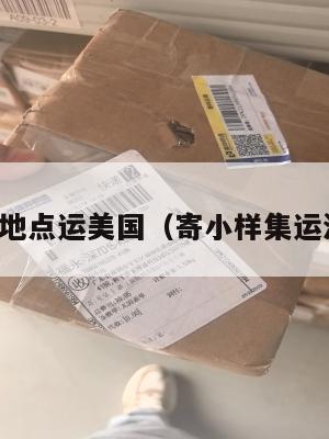 小样集运地点运美国（寄小样集运海运收费）