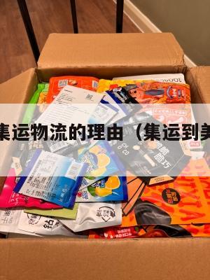 推荐美国集运物流的理由（集运到美国要多久）