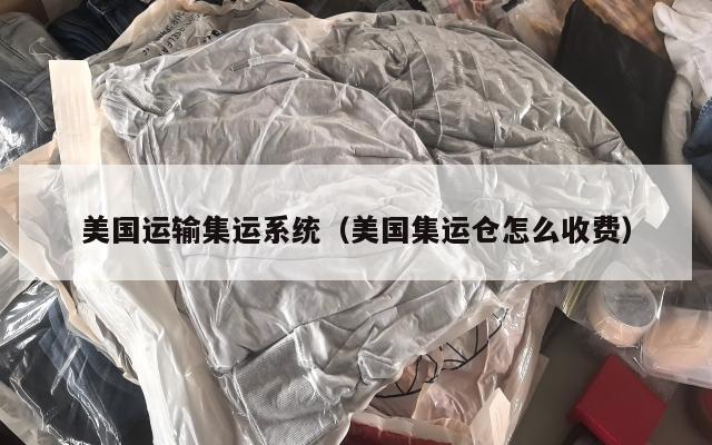 美国运输集运系统（美国集运仓怎么收费）