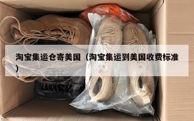 淘宝集运仓寄美国（淘宝集运到美国收费标准）