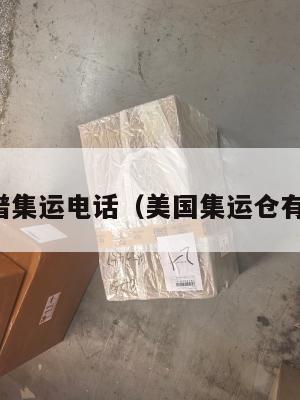 美国靠谱集运电话（美国集运仓有假的吗）