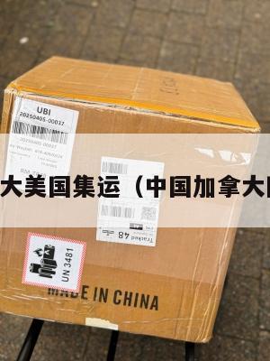 中国加拿大美国集运（中国加拿大国际快递）