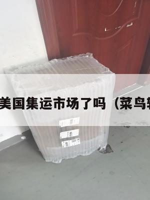 菜鸟进军美国集运市场了吗（菜鸟转运美国）