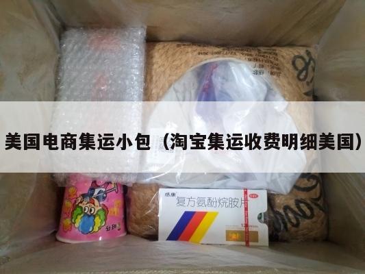 美国电商集运小包（淘宝集运收费明细美国）