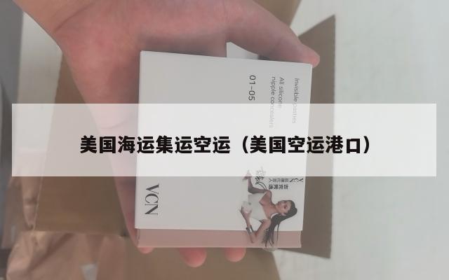 美国海运集运空运（美国空运港口）