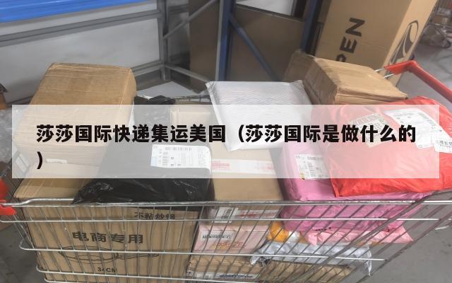 莎莎国际快递集运美国（莎莎国际是做什么的）