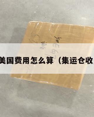 集运仓美国费用怎么算（集运仓收费标准）