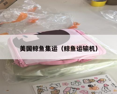 美国鲸鱼集运（鲸鱼运输机）