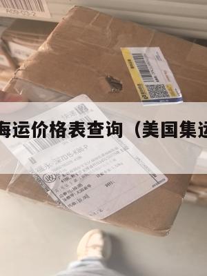 美国集运海运价格表查询（美国集运仓地址在哪里）