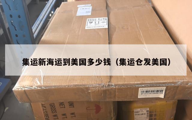 集运新海运到美国多少钱（集运仓发美国）