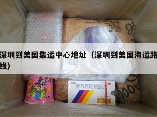 深圳到美国集运中心地址（深圳到美国海运路线）