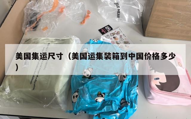 美国集运尺寸（美国运集装箱到中国价格多少）
