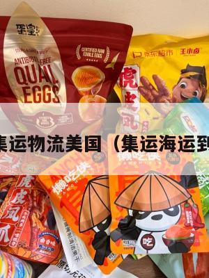 国际集运物流美国（集运海运到美国）