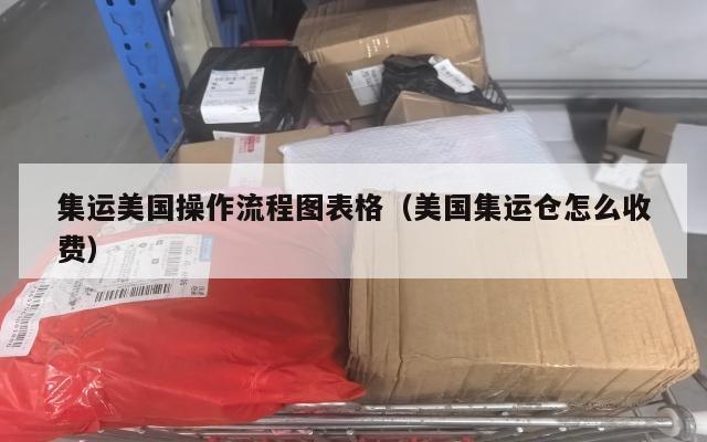 集运美国操作流程图表格（美国集运仓怎么收费）