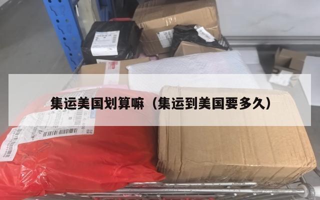 集运美国划算嘛（集运到美国要多久）