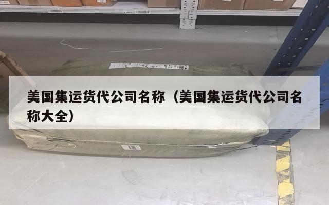 美国集运货代公司名称（美国集运货代公司名称大全）