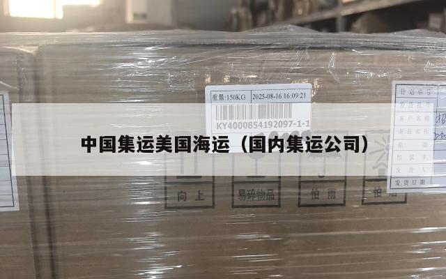 中国集运美国海运（国内集运公司）