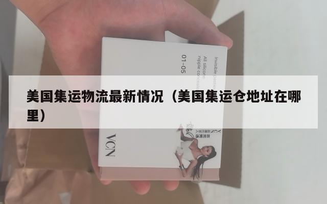 美国集运物流最新情况（美国集运仓地址在哪里）