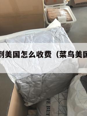 菜鸟集运到美国怎么收费（菜鸟美国集货仓多久到中国）