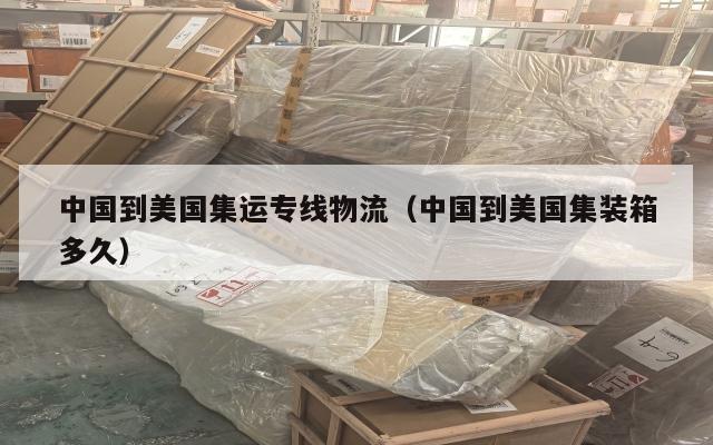 中国到美国集运专线物流（中国到美国集装箱多久）