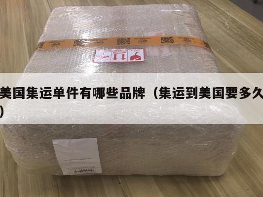 美国集运单件有哪些品牌（集运到美国要多久）
