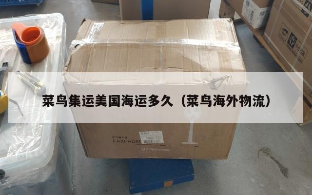 菜鸟集运美国海运多久（菜鸟海外物流）