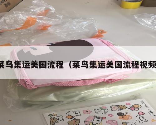 菜鸟集运美国流程（菜鸟集运美国流程视频）