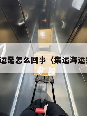 美国集运是怎么回事（集运海运到美国）