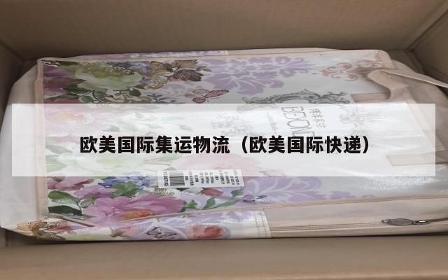 欧美国际集运物流（欧美国际快递）