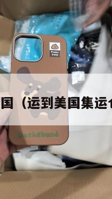 集运仓到美国（运到美国集运仓怎么联系）