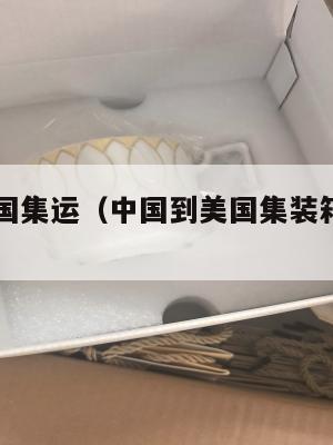 中国去美国集运（中国到美国集装箱海运费用）