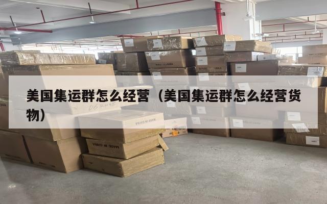 美国集运群怎么经营（美国集运群怎么经营货物）