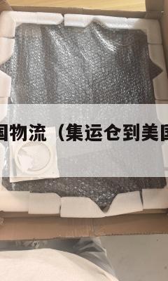 集运仓到美国物流（集运仓到美国物流多少钱）