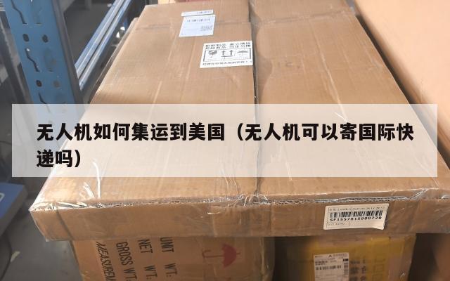无人机如何集运到美国（无人机可以寄国际快递吗）