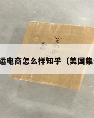 美国集运电商怎么样知乎（美国集运股票）