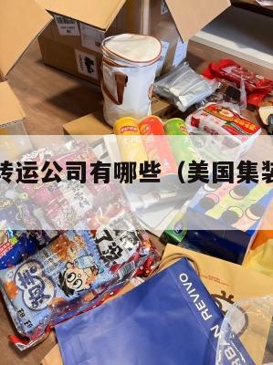 集运美国转运公司有哪些（美国集装箱运输公司）