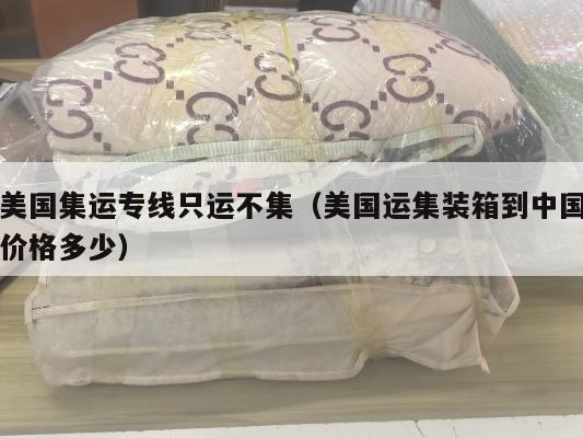 美国集运专线只运不集（美国运集装箱到中国价格多少）