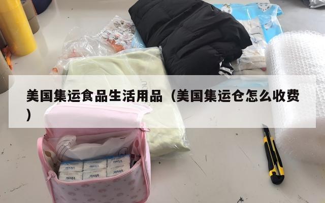 美国集运食品生活用品(美国集运仓怎么收费)