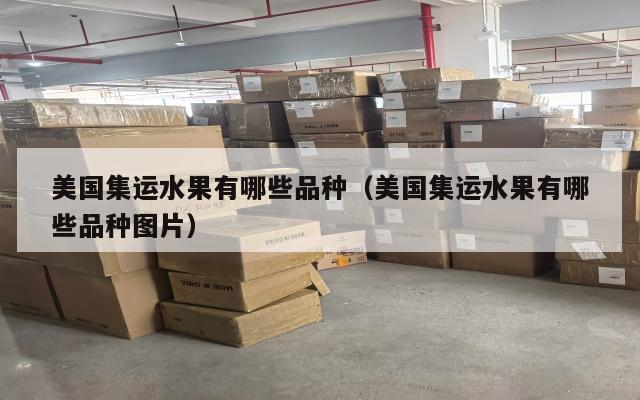 美国集运水果有哪些品种（美国集运水果有哪些品种图片）