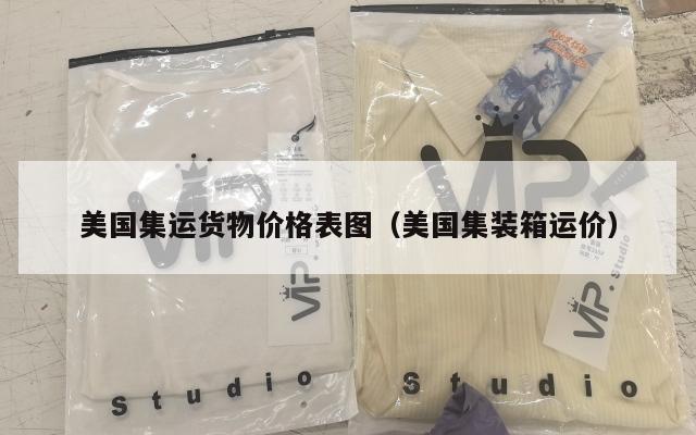 美国集运货物价格表图（美国集装箱运价）