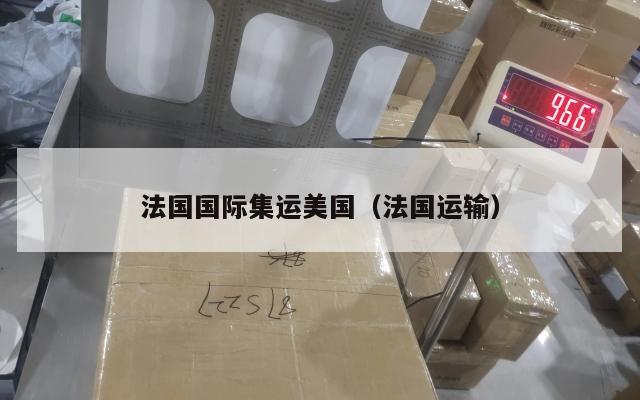 法国国际集运美国（法国运输）