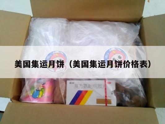 美国集运月饼(美国集运月饼价格表)