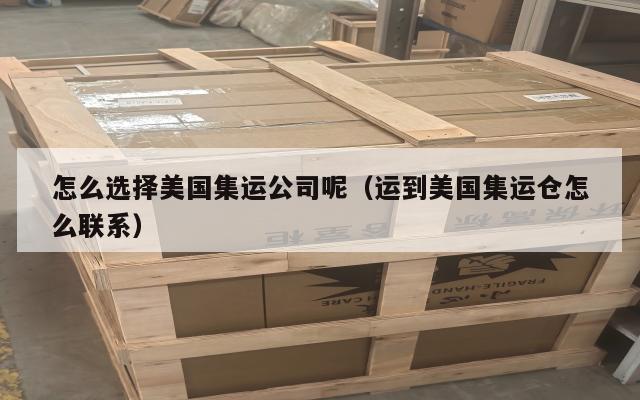 怎么选择美国集运公司呢（运到美国集运仓怎么联系）