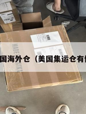 集运美国海外仓（美国集运仓有假的吗）