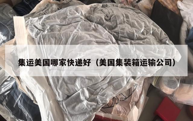 集运美国哪家快递好（美国集装箱运输公司）