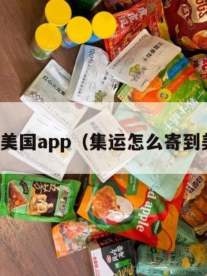 集运美国app（集运怎么寄到美国）